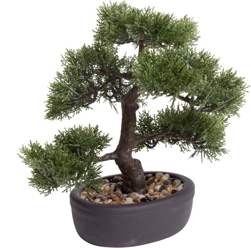 Botanic-Haus Kunstbonsai Ceder Bonsai (1 stuk)