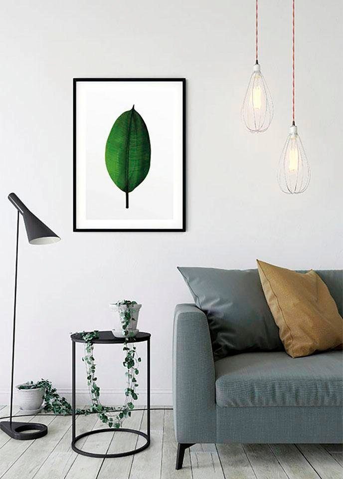 Komar Wanddecoratie Ficus Leaf Wanddecoratie - zonder lijst (1 stuk)