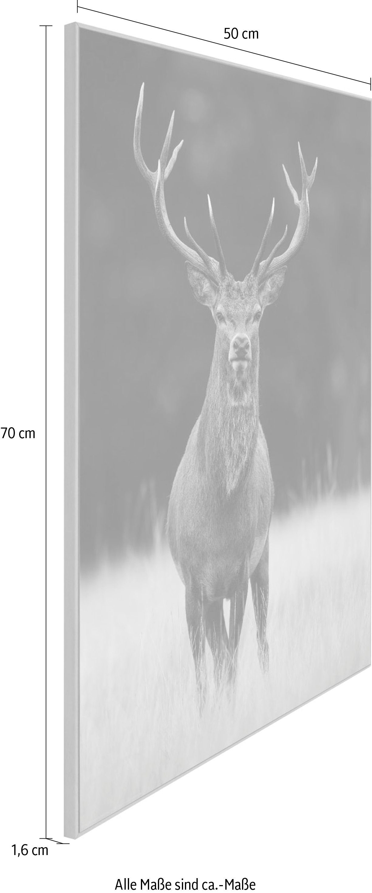 Reinders! Artprint Slim Frame Wood 50x70 Deer
