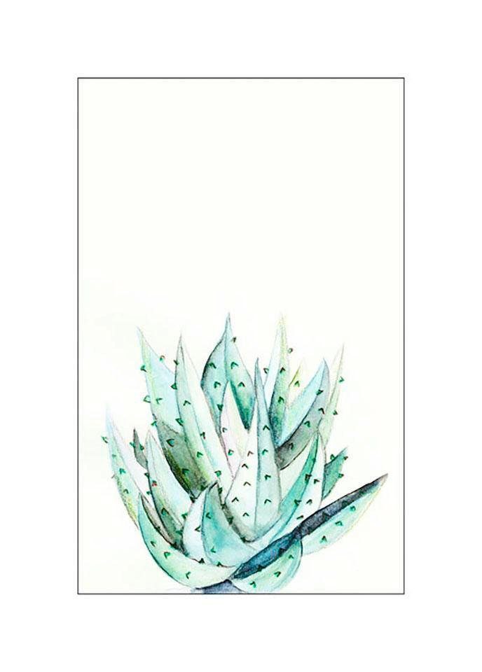Komar Poster Aloe Watercolor Hoogte: 70 cm