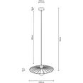 britop lighting hanglamp antonella decoratieve lamp van metaal met elementen van eikenhout (1 stuk) zwart