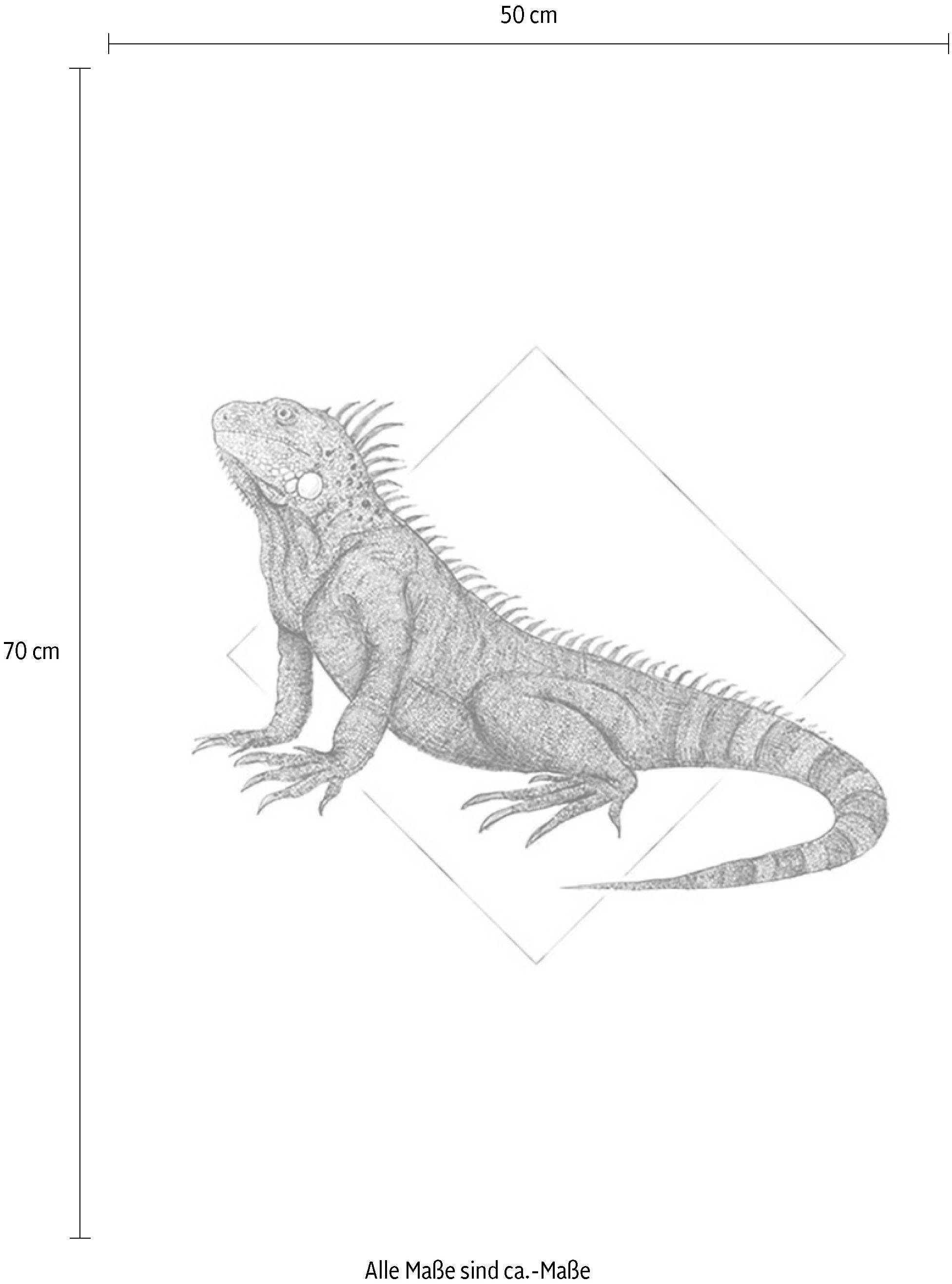 Komar Wanddecoratie Iguana white Wanddecoratie - zonder lijst (1 stuk)