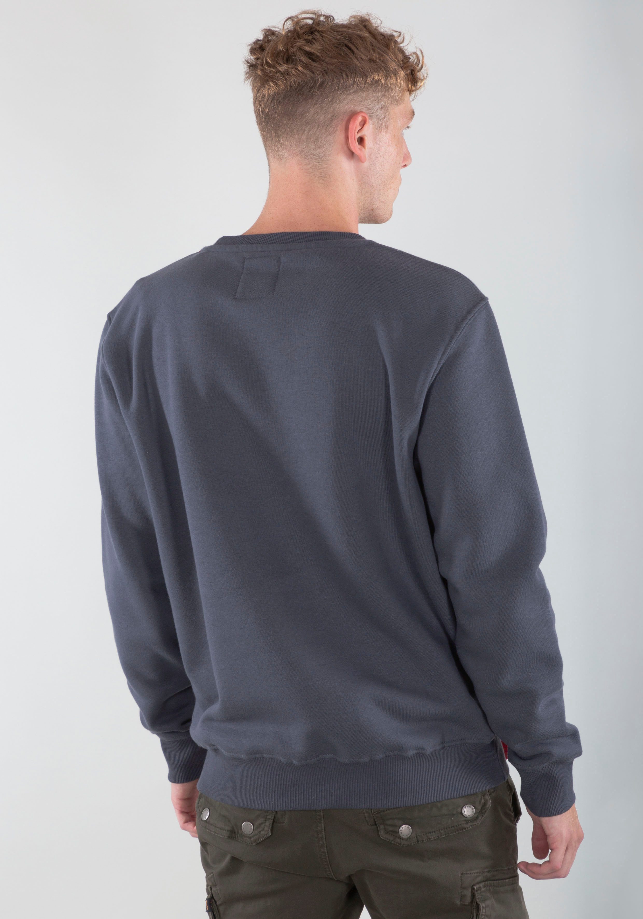 Alpha Industries Sweatshirt Basic sweater small logo