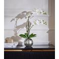 guido maria kretschmer homeliving kunstorchidee cosidena kunstplant, in een pot van keramiek wit