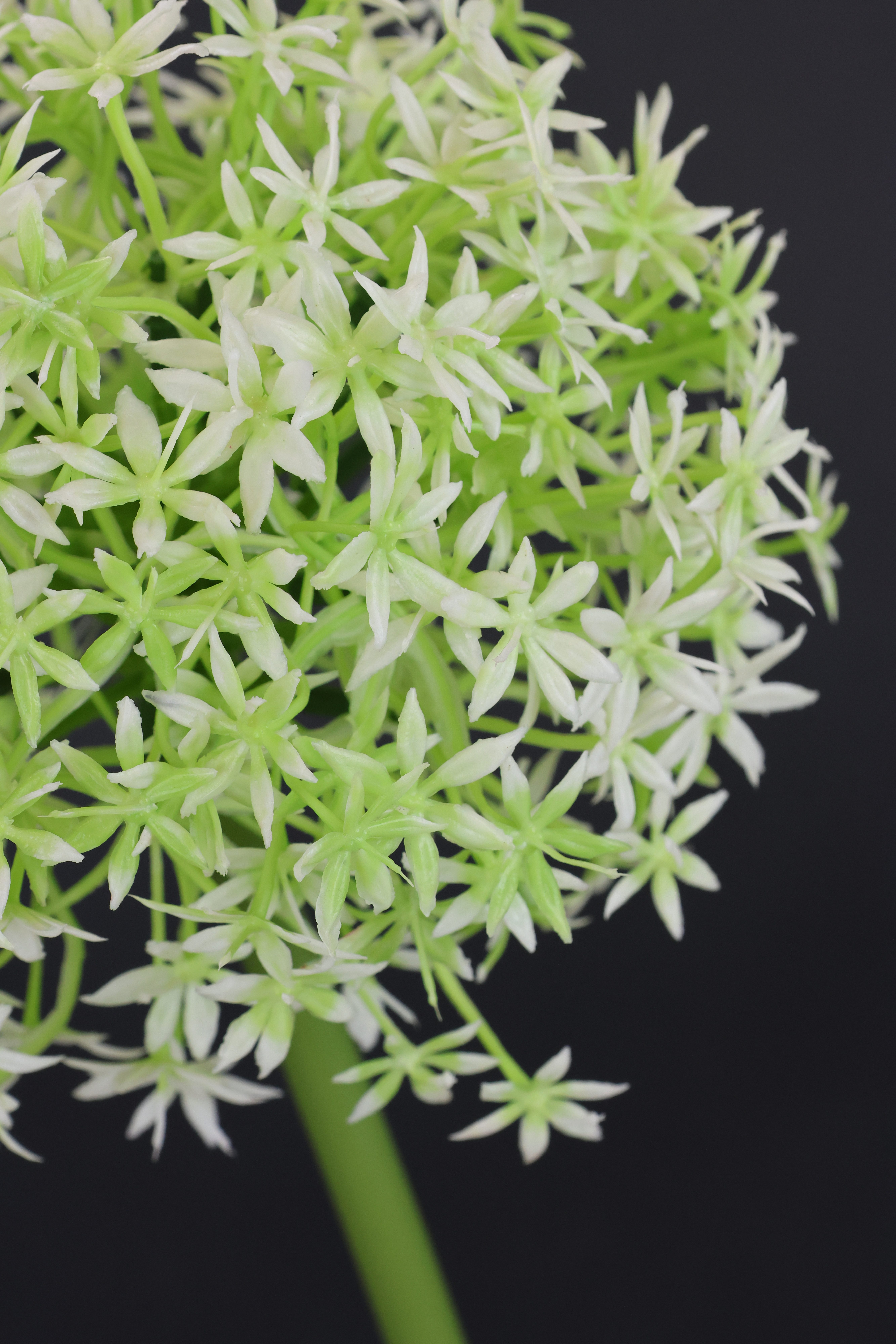 I.GE.A. Kunstbloem Allium sierlook Stelenbloem kunstbloemen(2 stuks)