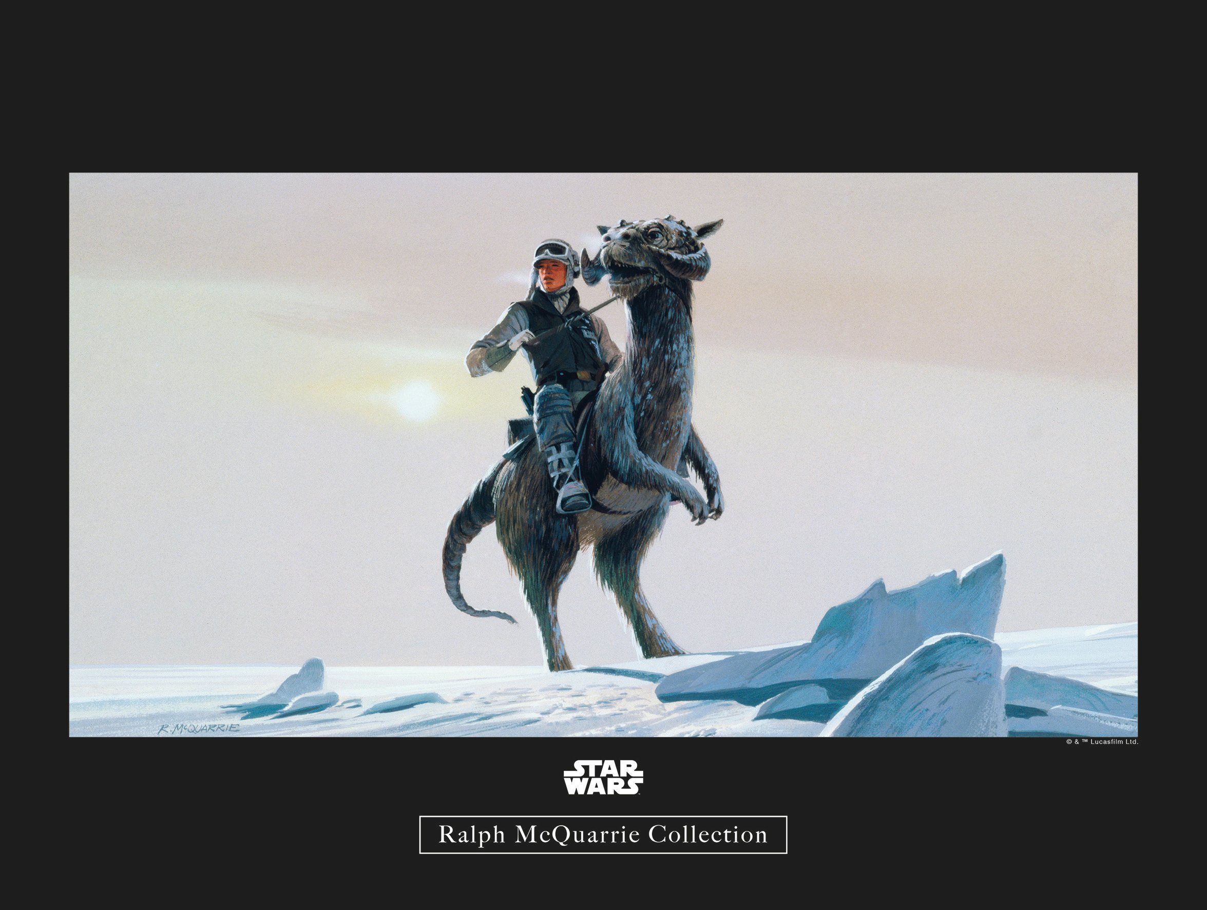 Komar wanddecoratie Star Wars Classic RMQ Hoth Tauntaun, zonder lijst