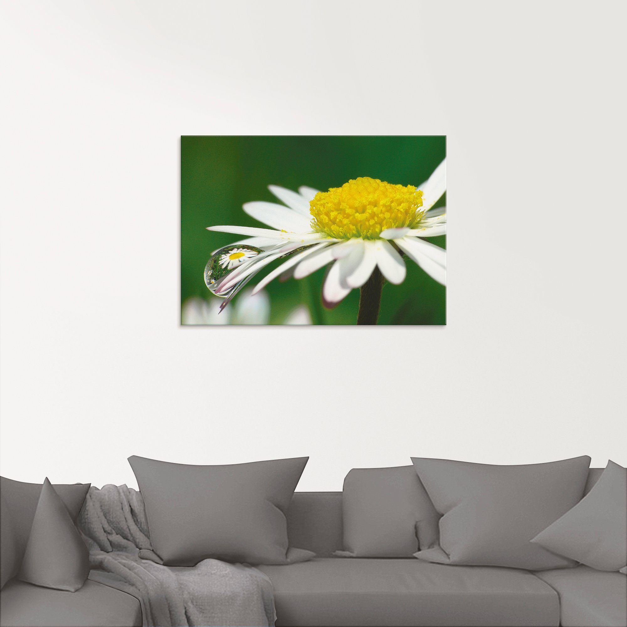 Artland Print op glas Madeliefje met waterdruppels
