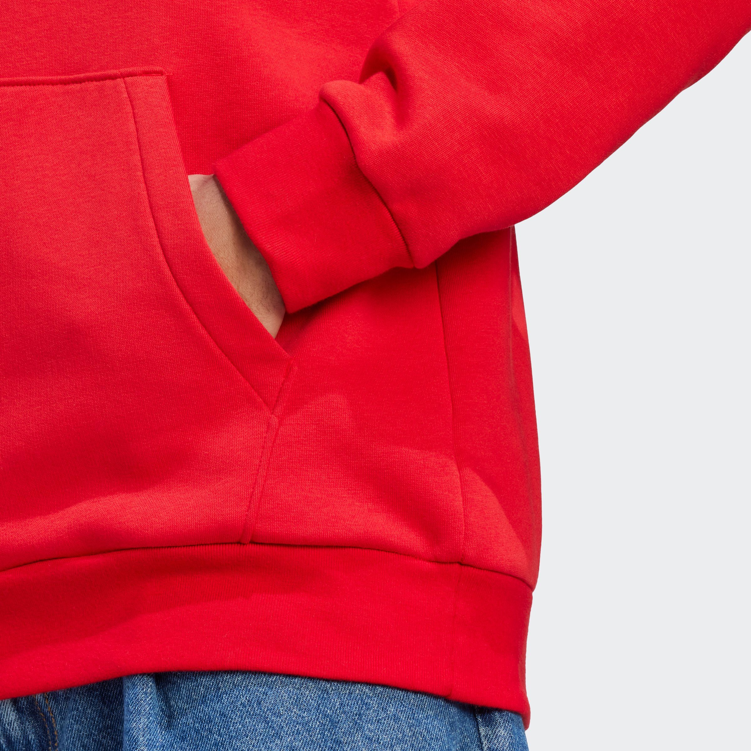 adidas Sportswear Hoodie ESSENTIALS BIG LOGO HOODY