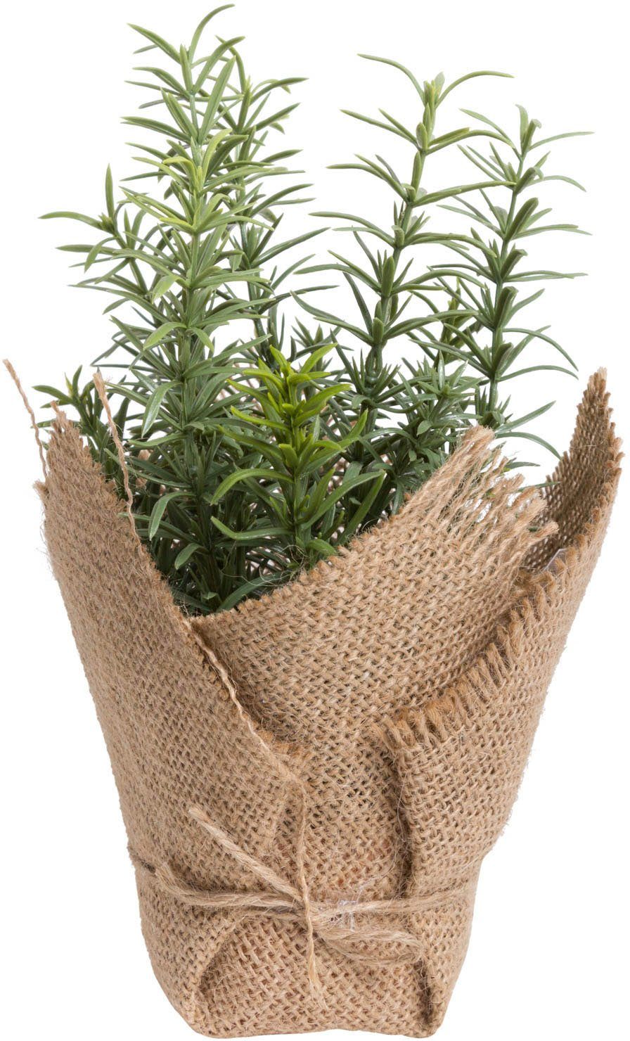 Botanic-Haus Kunst-potplanten Kruiden (set, 3 stuks)