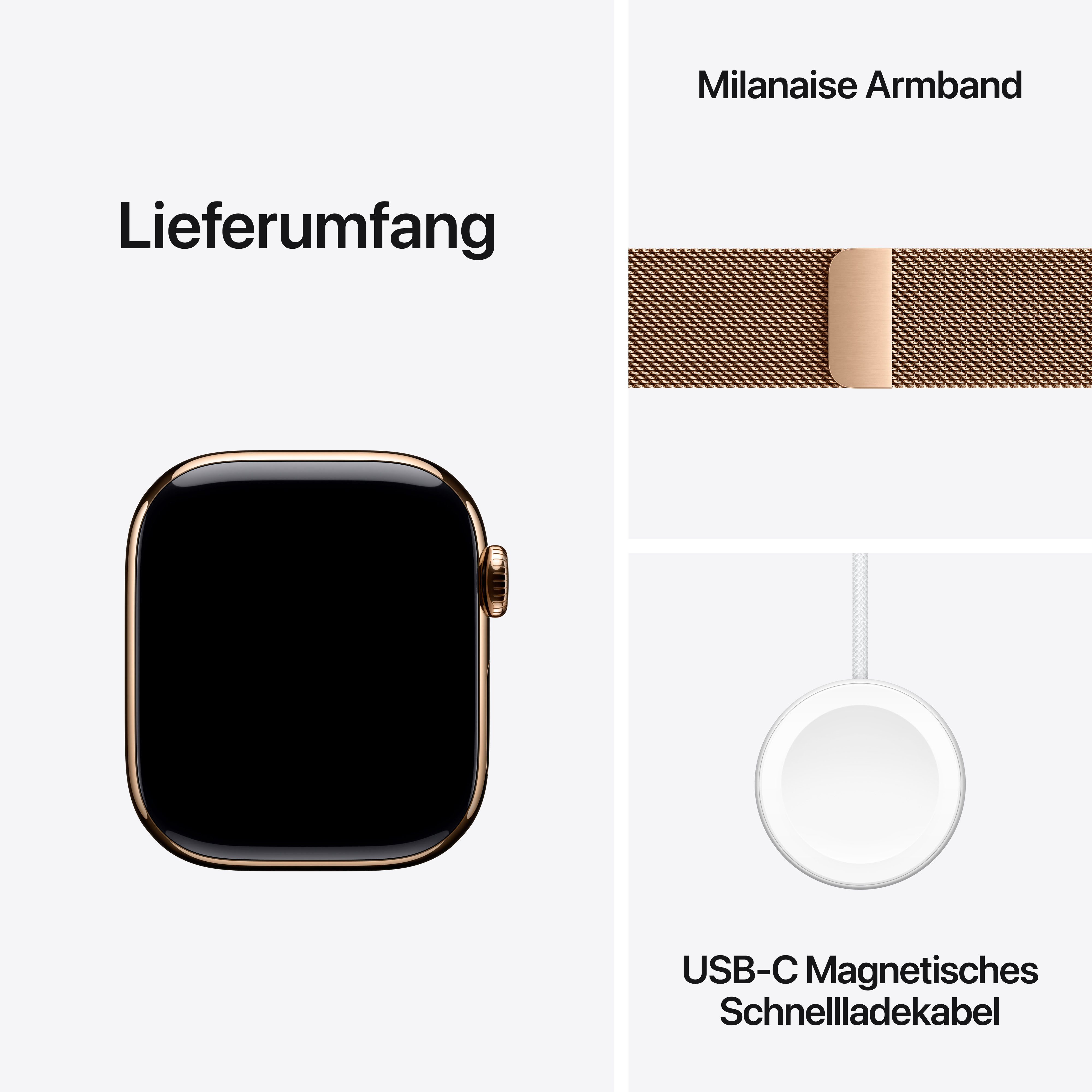 Apple Smartwatch Watch Series 11