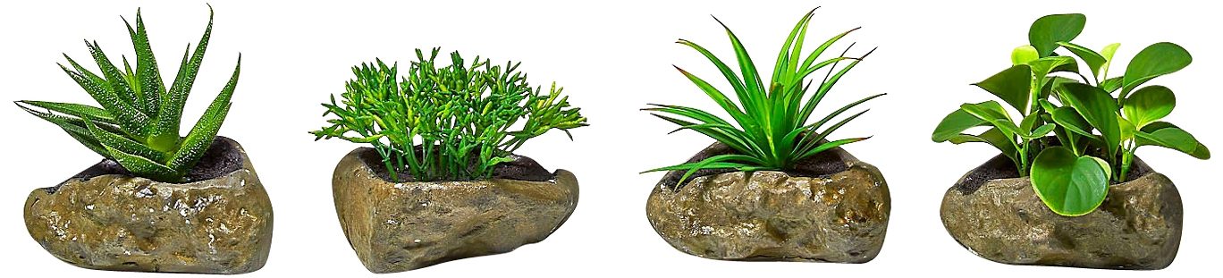 Home affaire Kunstplant Vetplanten (4 stuks)