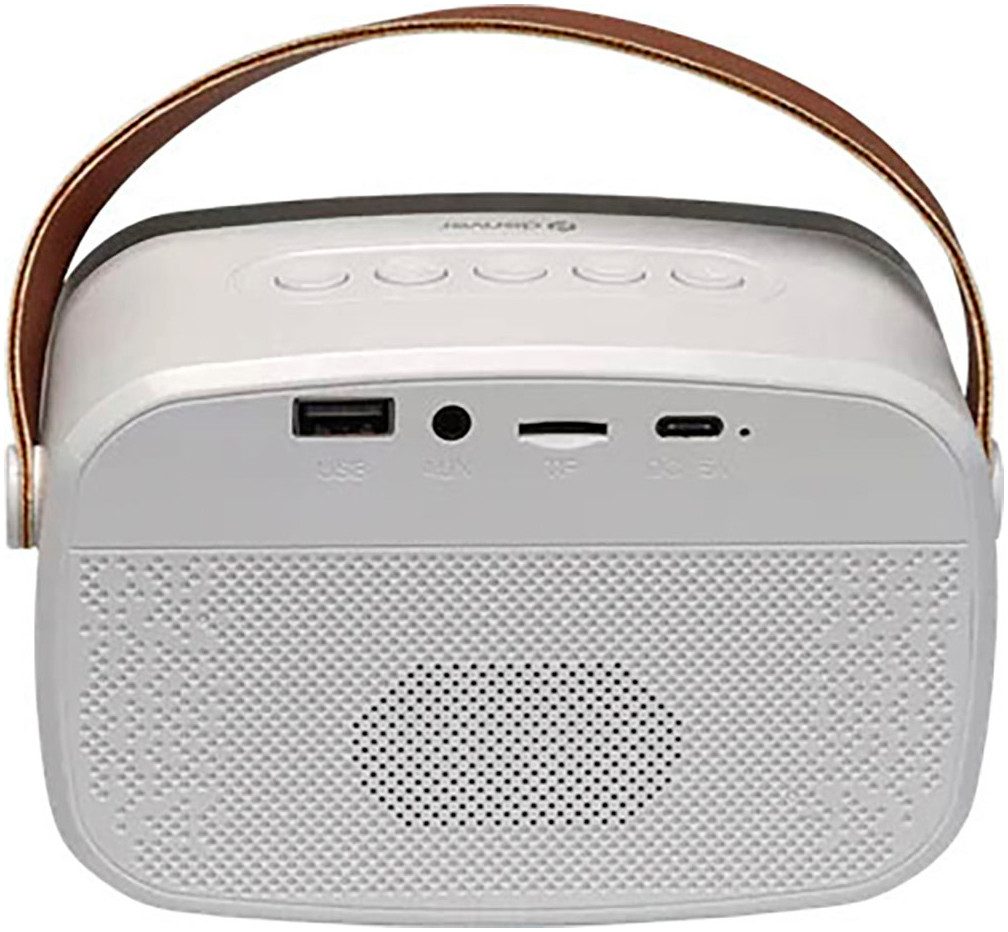 Denver Bluetooth luidspreker BTM-610 met karaoke-functie