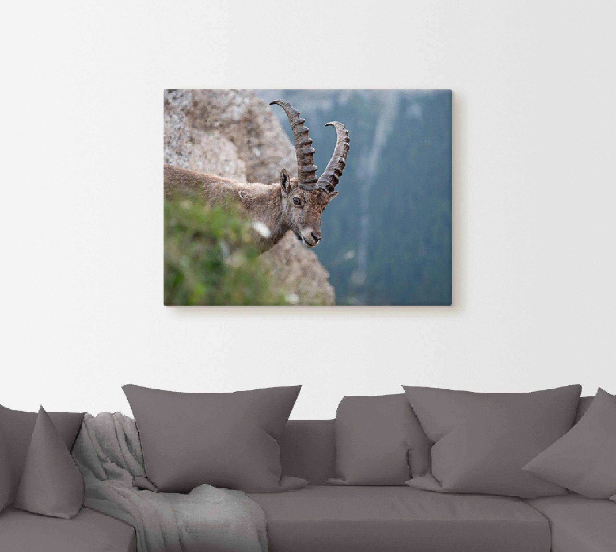 Artland Artprint op linnen Steenbok gespannen op een spieraam