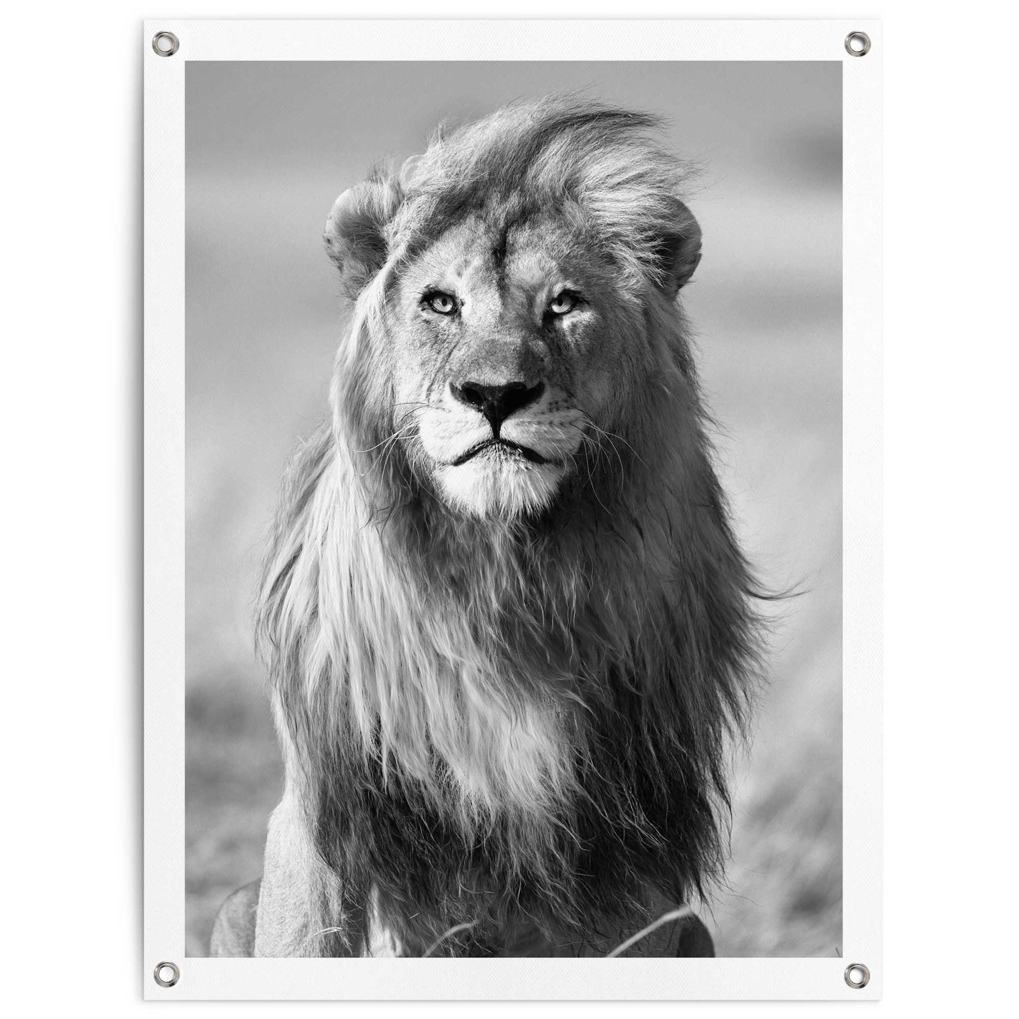 Reinders! Poster Leeuw Outdoor voor tuin of balkon deurposters zwart