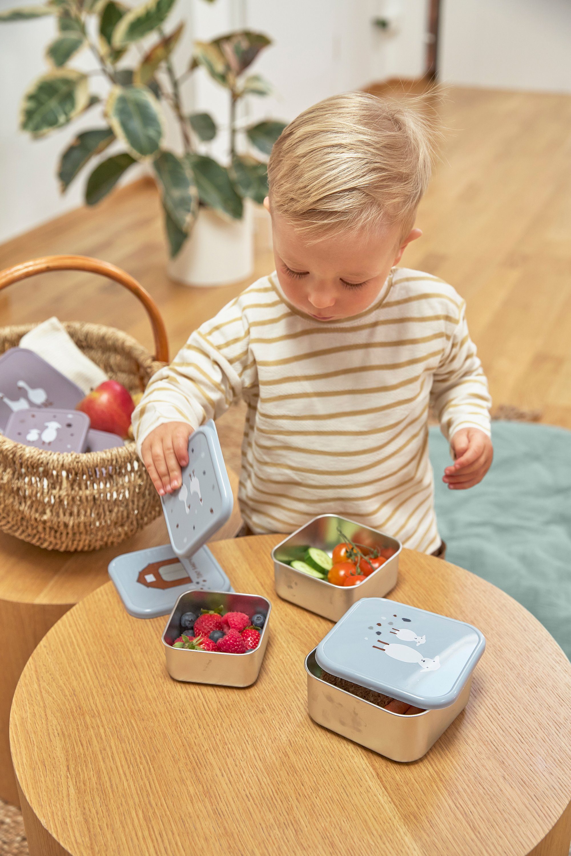 Lässig Lunchbox Tiny Farmer, Blue (3-delig)