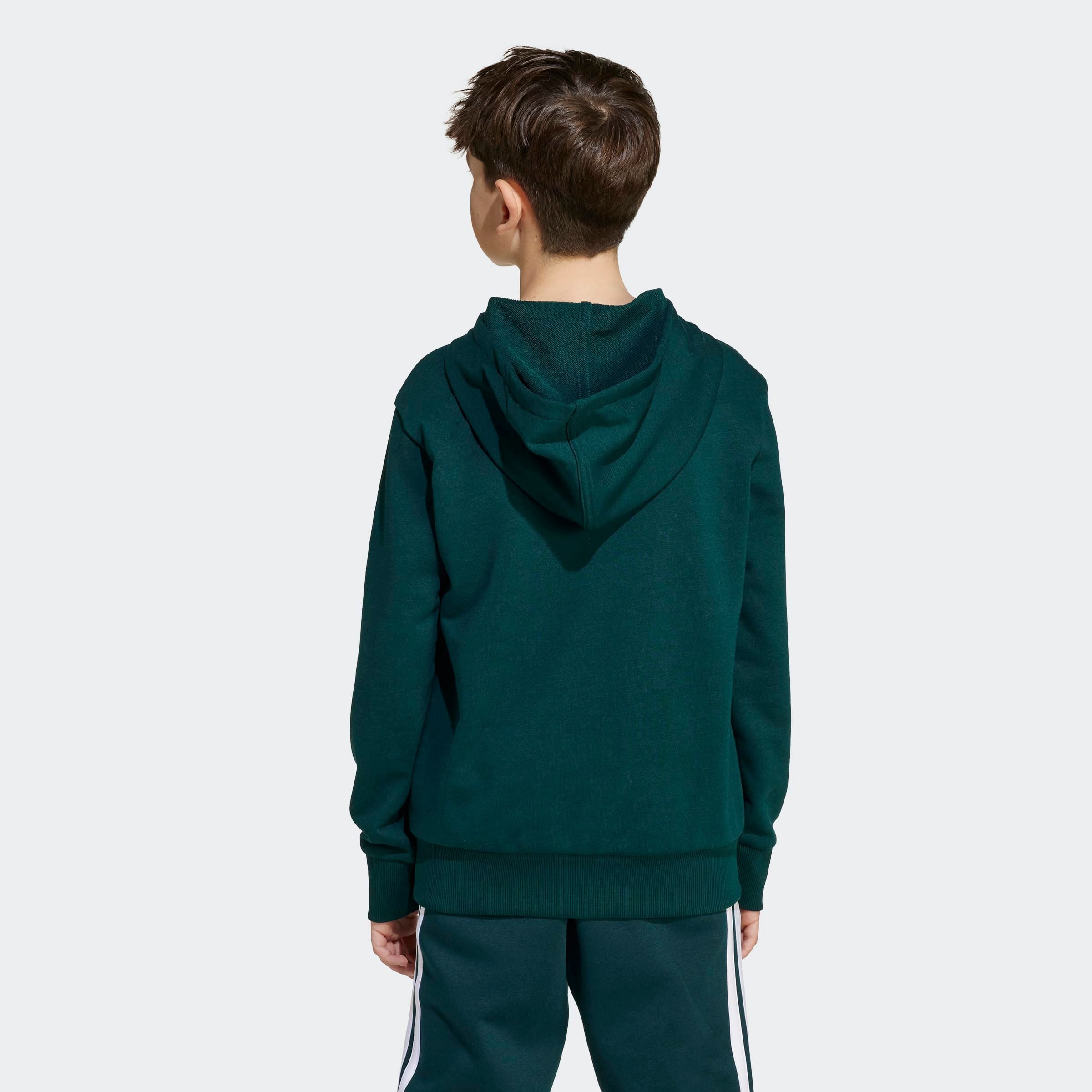 adidas Sportswear Hoodie J BL FT HD 280