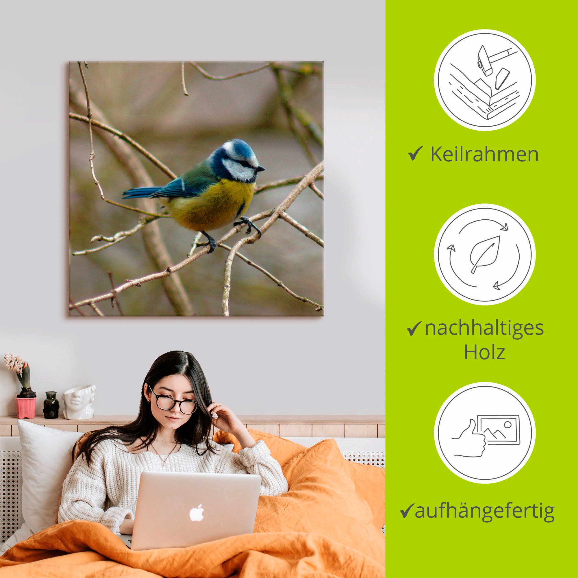 Artland Artprint Pimpelmees als artprint op linnen, muursticker in verschillende maten