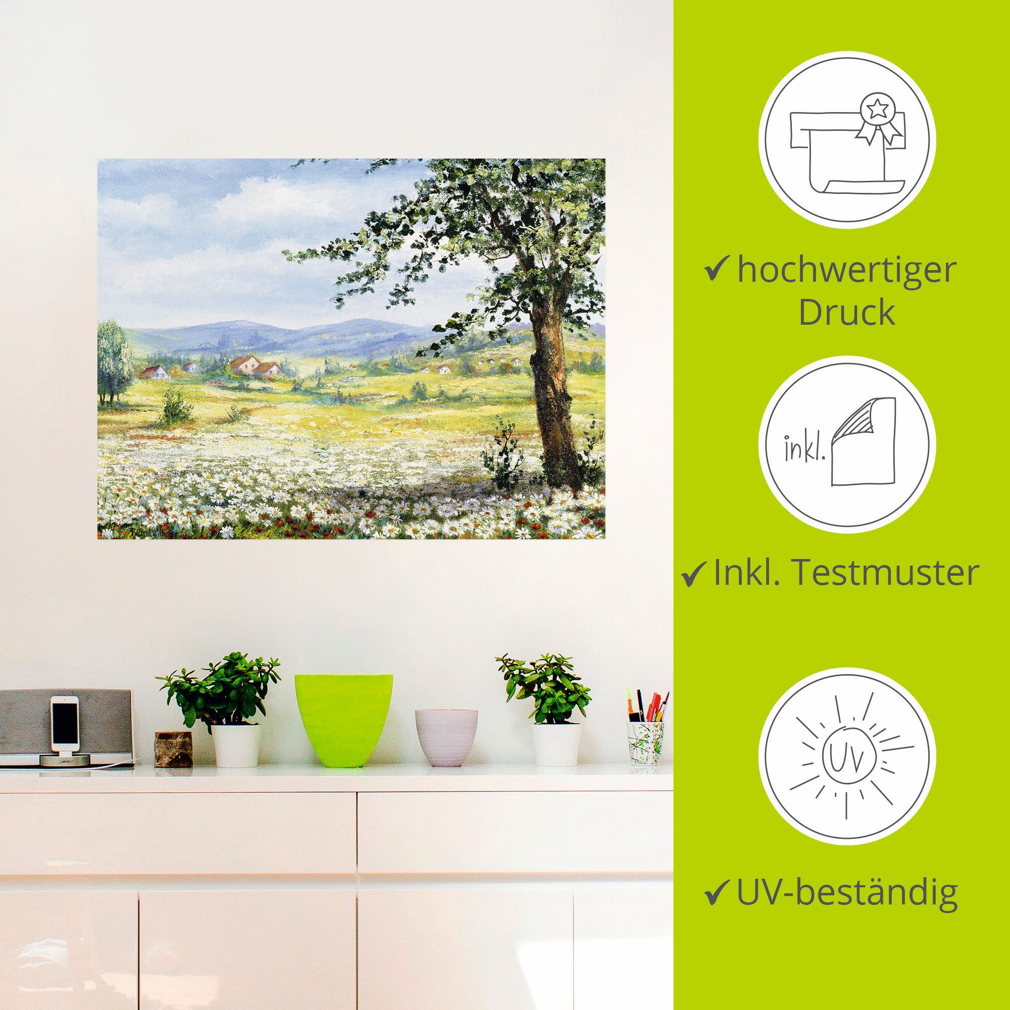 Artland Artprint Margrietenveld als poster, muursticker in verschillende maten