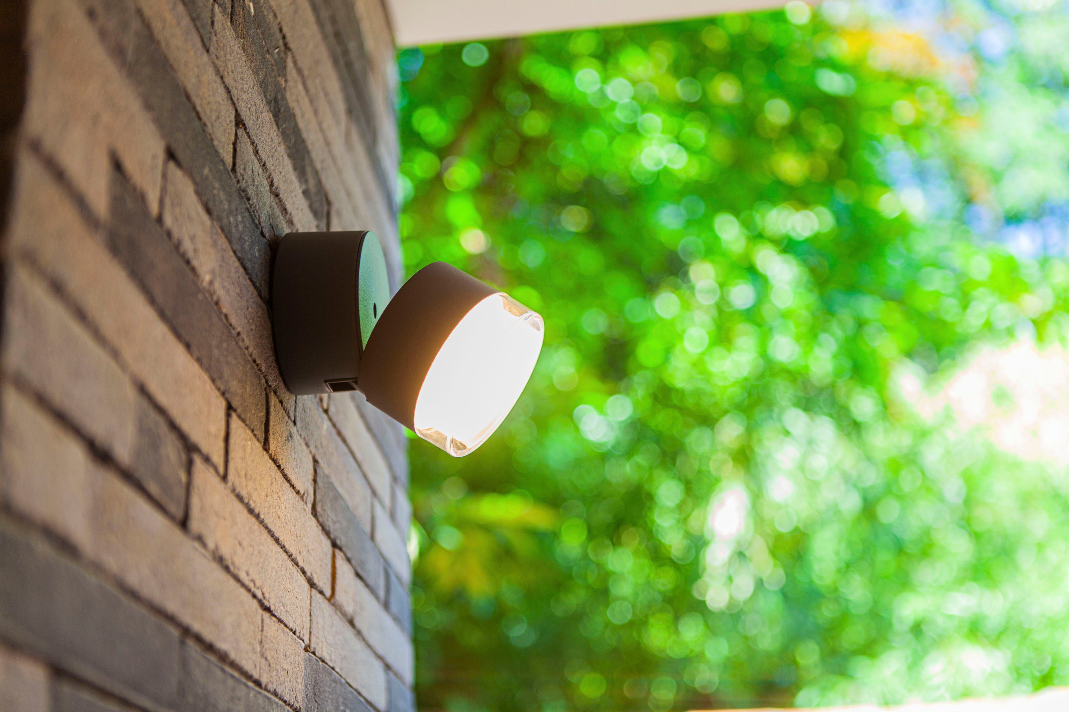 LUTEC Slimme ledlamp DROPSI Smart-home (1 stuk)