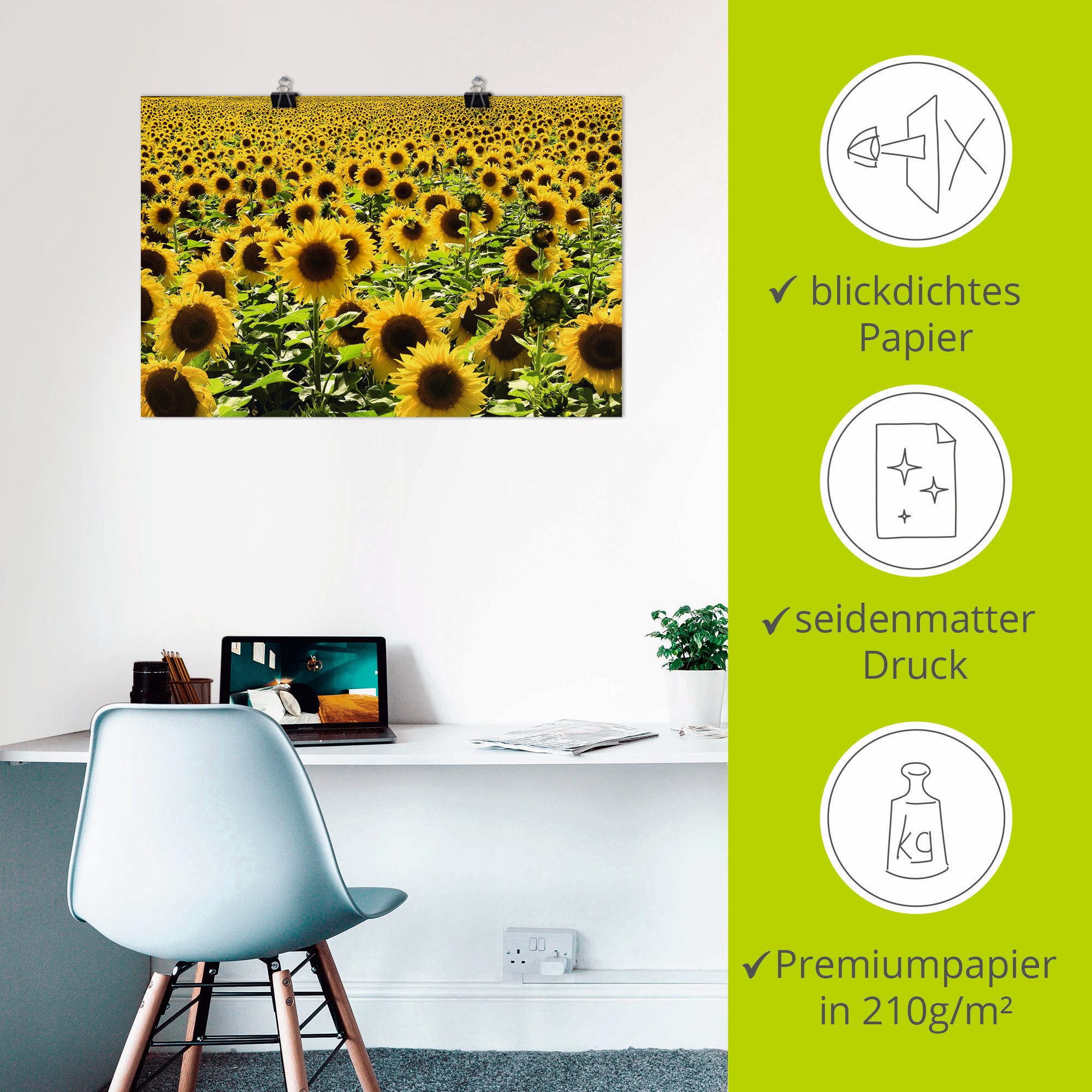 Artland Artprint Zonnebloemveld als artprint van aluminium, artprint voor buiten, artprint op linnen, poster in verschillende maten. maten