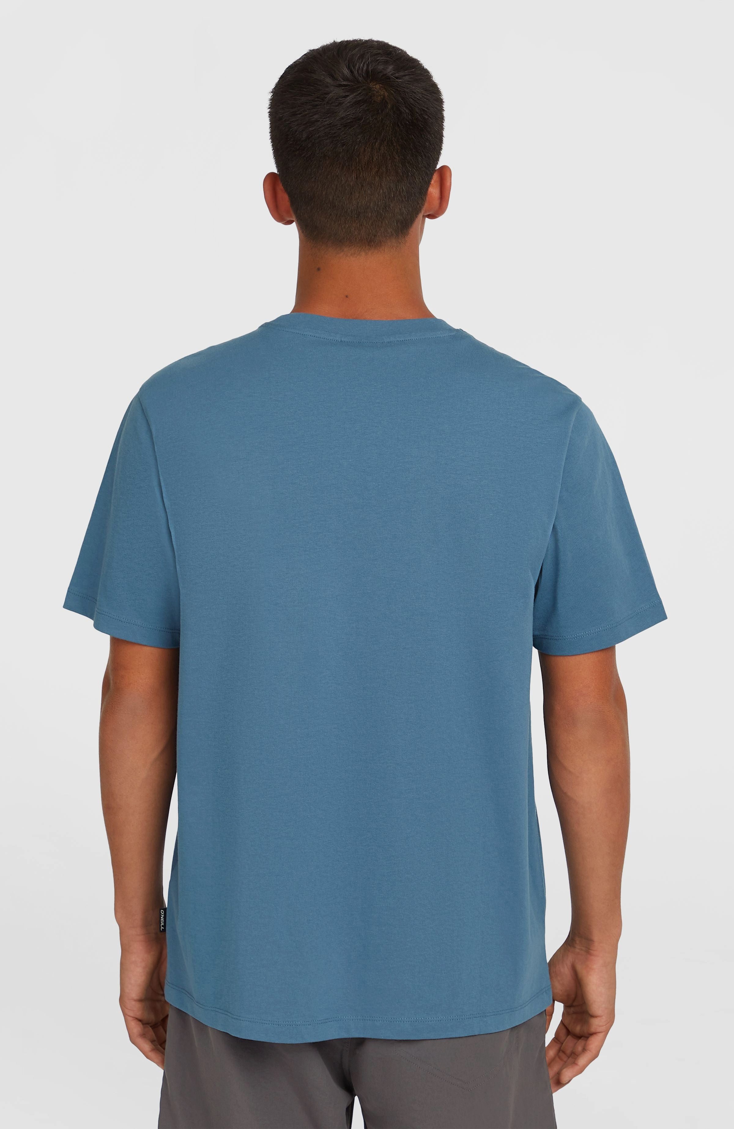 O'Neill T-shirt Small Logo T-Shirt