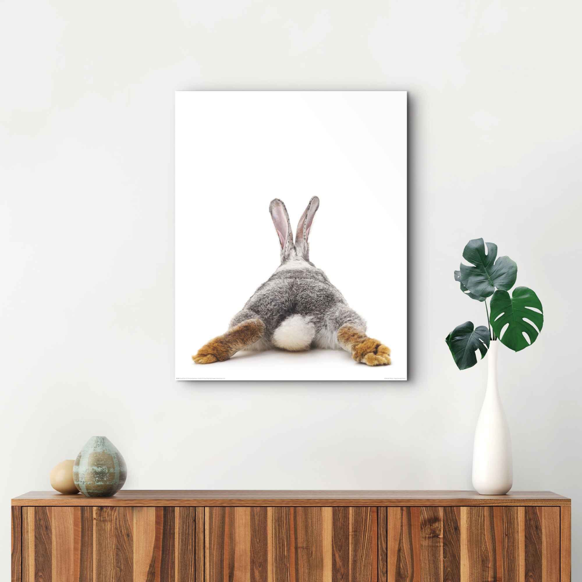 Reinders! Artprint konijn rabbit - haas - staart - relax