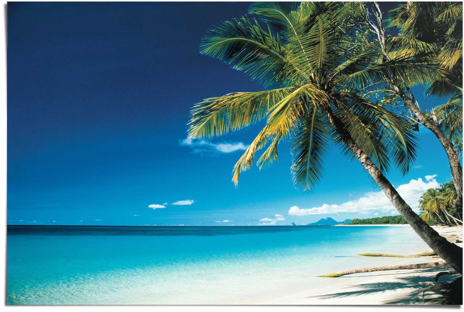 reinders! poster palm aan het strand blauw