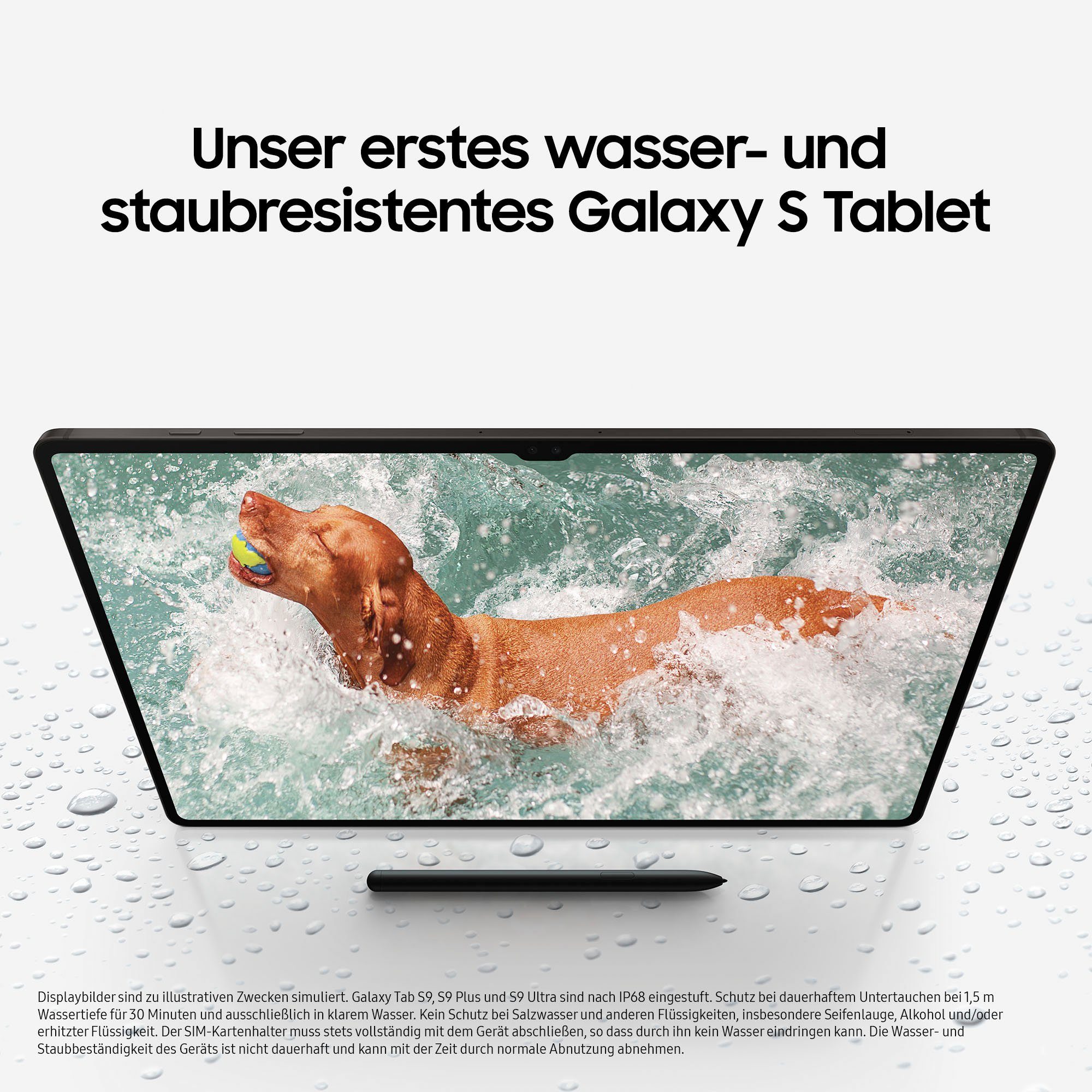 Samsung Tablet Galaxy Tab S9+ 5G, 12,4", Android