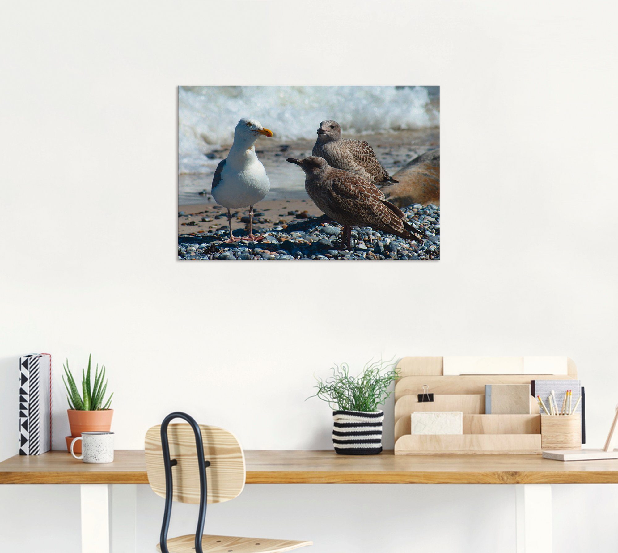 Artland Artprint Meeuwen op het Noordzeestrand als artprint van aluminium, artprint op linnen, muursticker of poster in verschillende maten