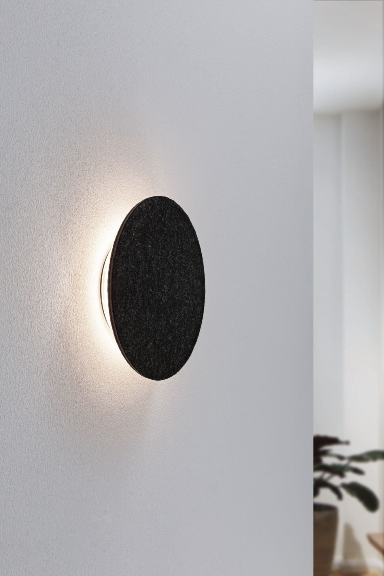Paulmann Led-wandlamp Tulga 2700K 1000lm 230V 15W Antraciet (1 stuk)