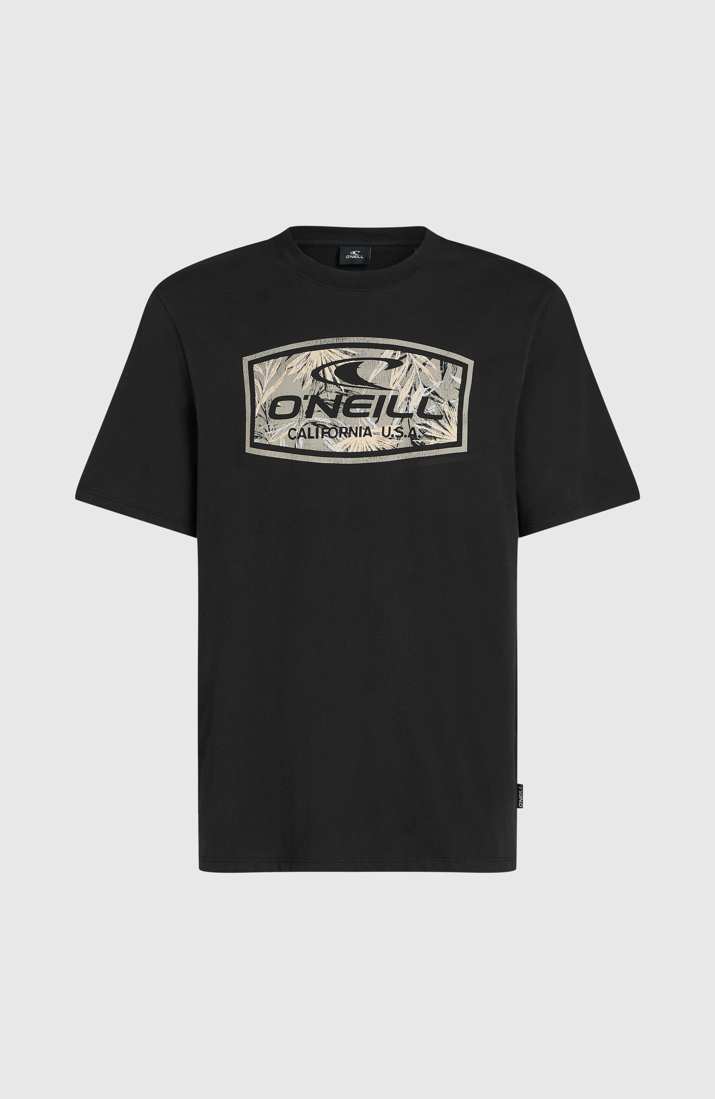 O'Neill T-shirt O'NEILL GRAPHIC T-SHIRT (1-delig)