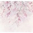 komar fotobehang vliesbehang kersenbloesem 300 x 280 cm roze