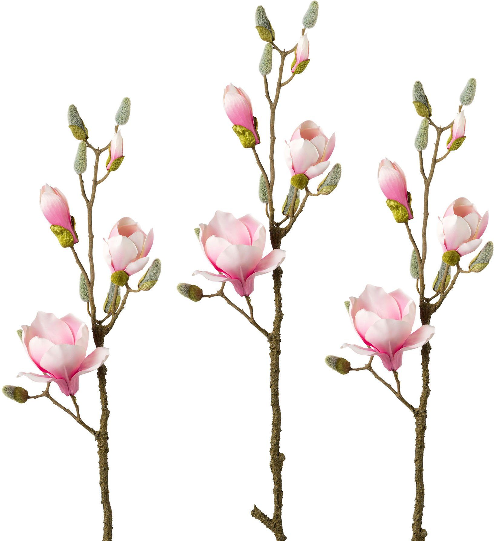 Creativ green Kunsttak Tak magnolia set van 3 (3 stuks)