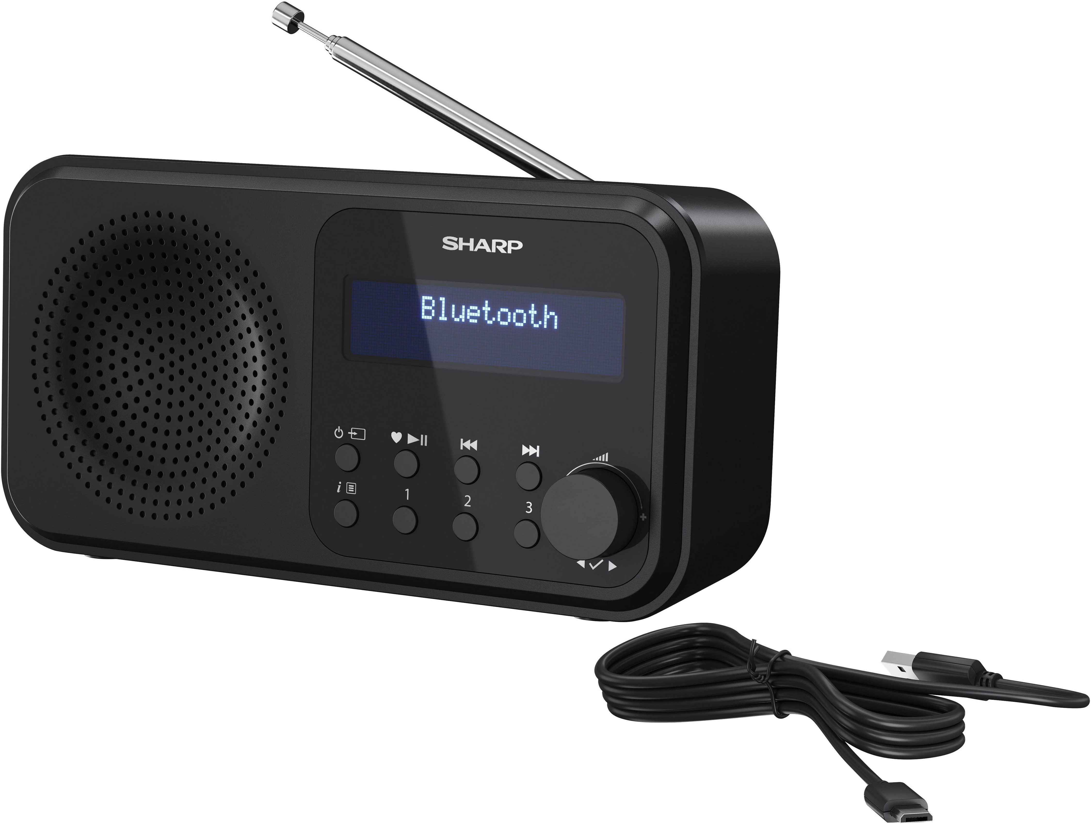 Sharp Radio DR-P420