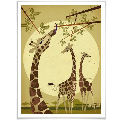 Wall-Art poster Giraffes