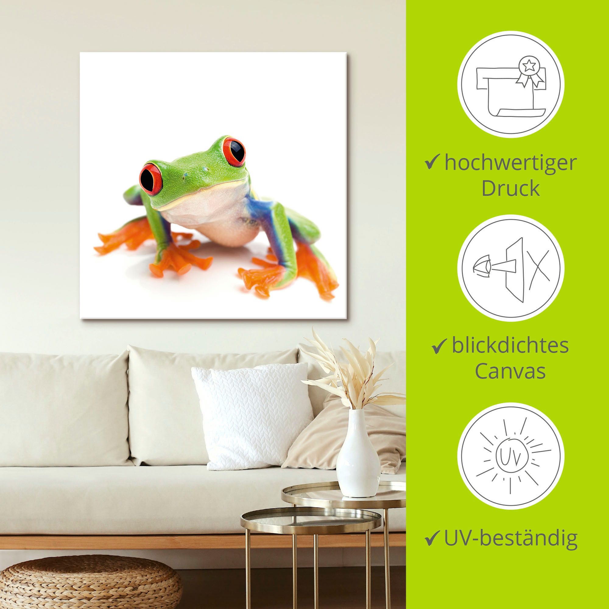 Artland Artprint Close up van een kikker voor wit als artprint van aluminium, artprint voor buiten, artprint op linnen in verschillende maten