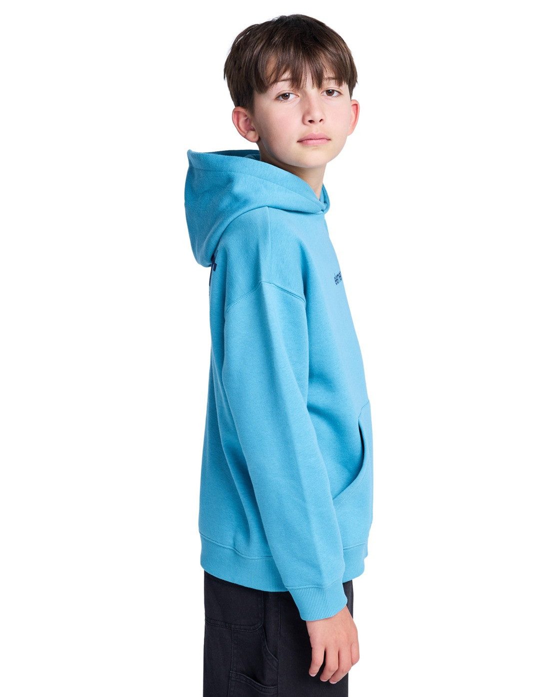 Element Hoodie Lowcase Bp