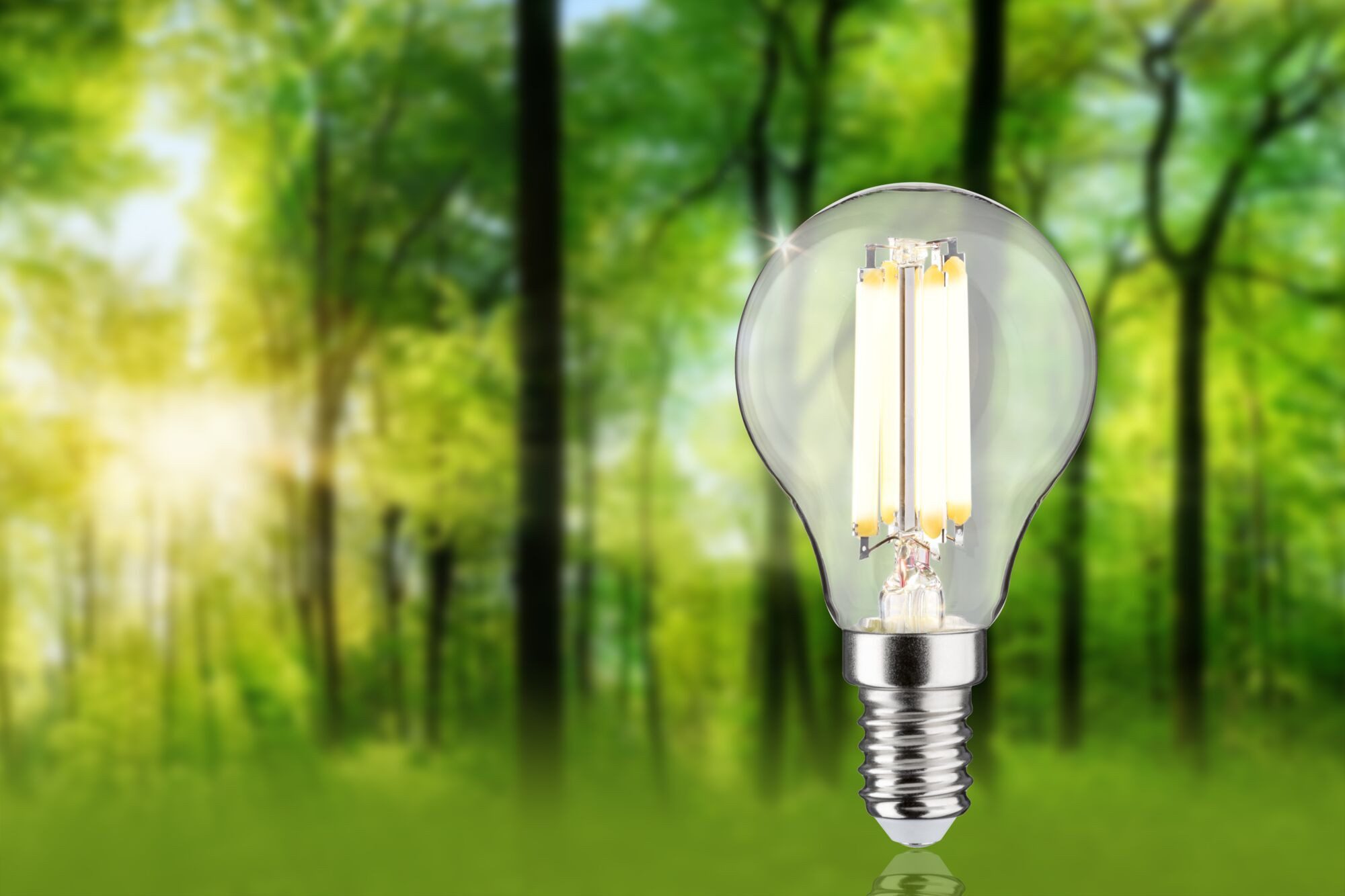 Paulmann Led-verlichting Eco-Line filament 230V LED druppel E14 1-set 525lm 2,5W 3000K helder (1 stuk)