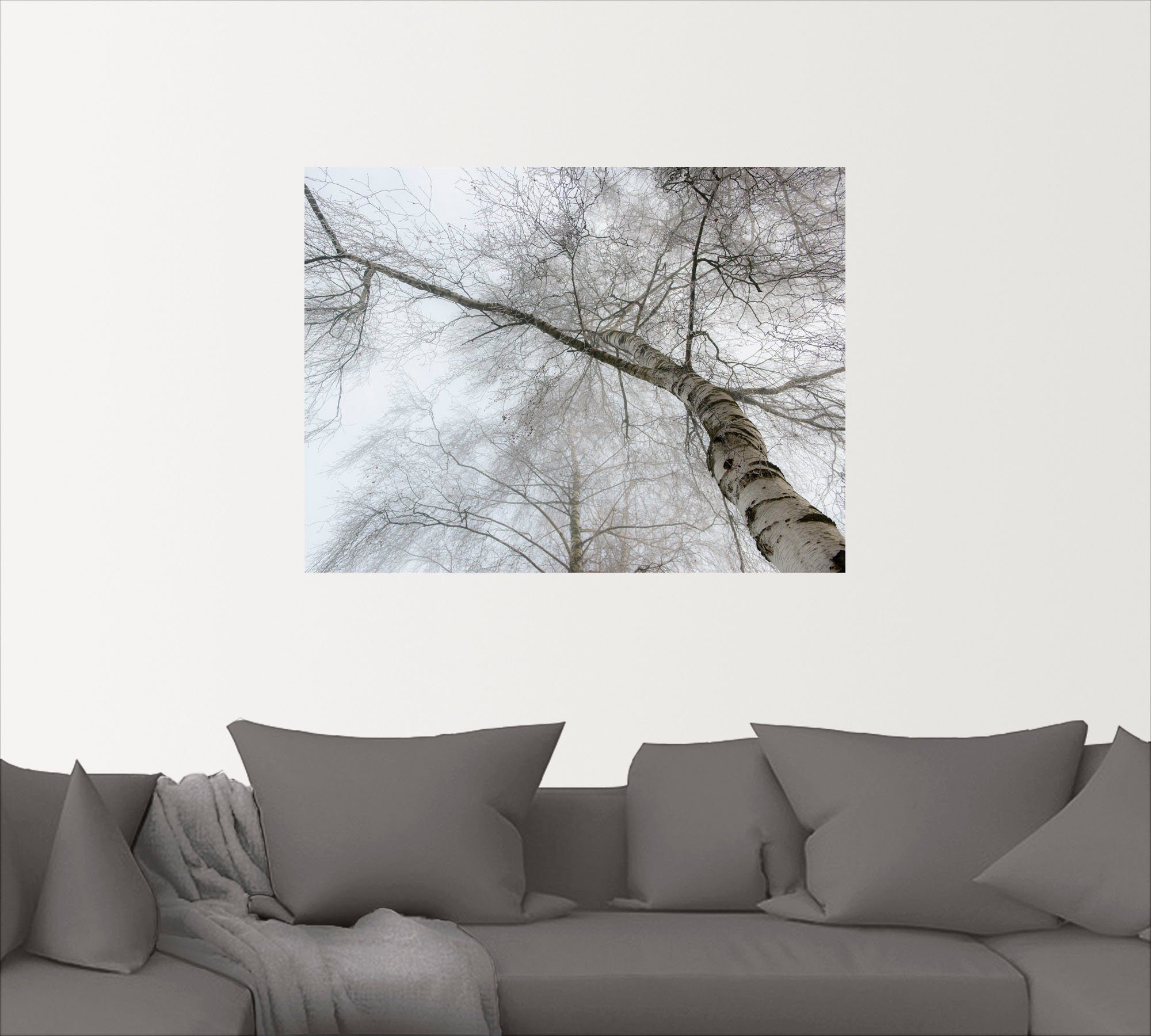 Artland Artprint Winter berk als artprint op linnen, muursticker in verschillende maten