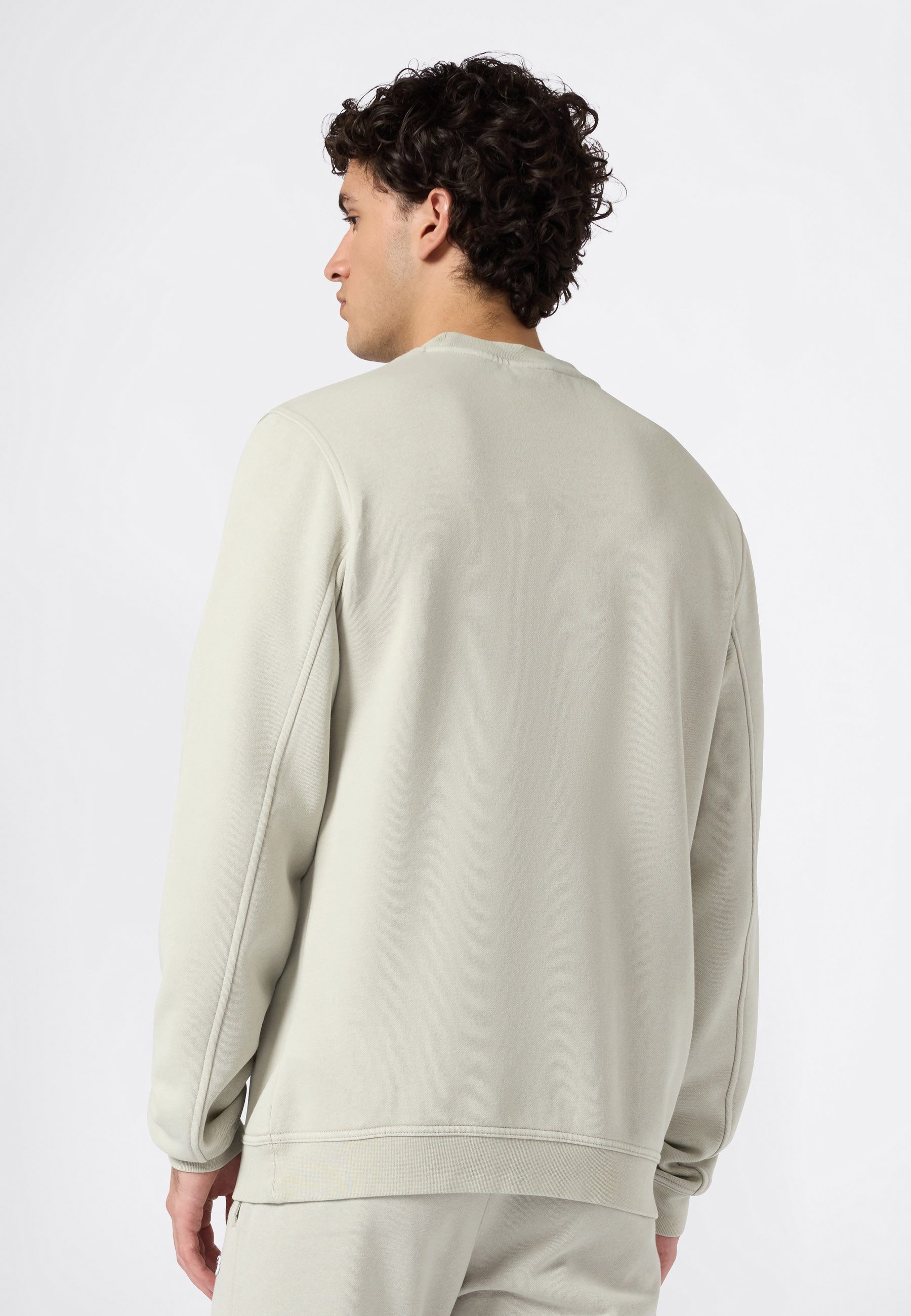 Champion Sweatshirt ICONS Wash Crewneck Sweatshirt (1-delig)