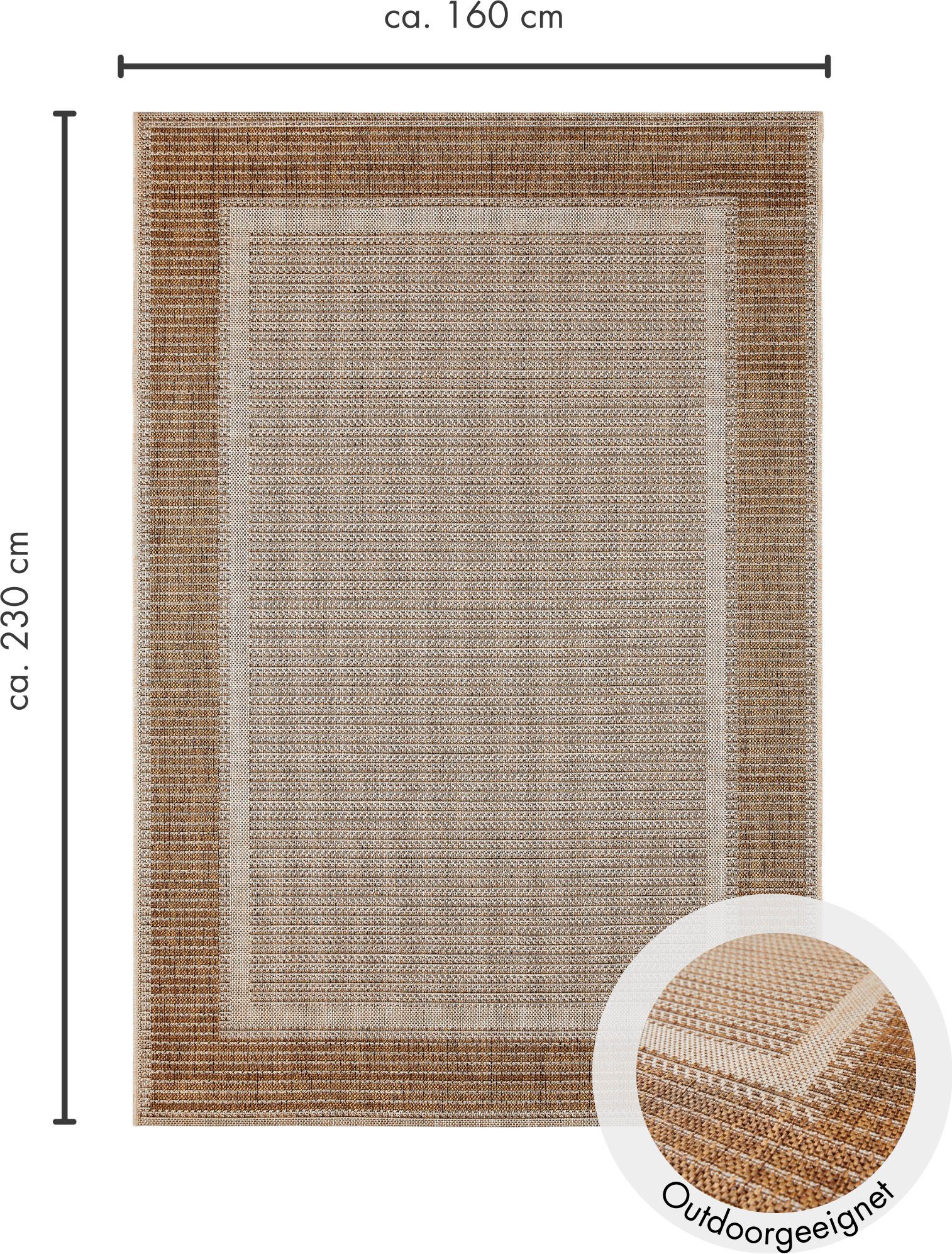 Andiamo Vloerkleed ARIZONA 2 Platweefsel, met randdessin, geschikt voor binnen en buiten, woonkamer