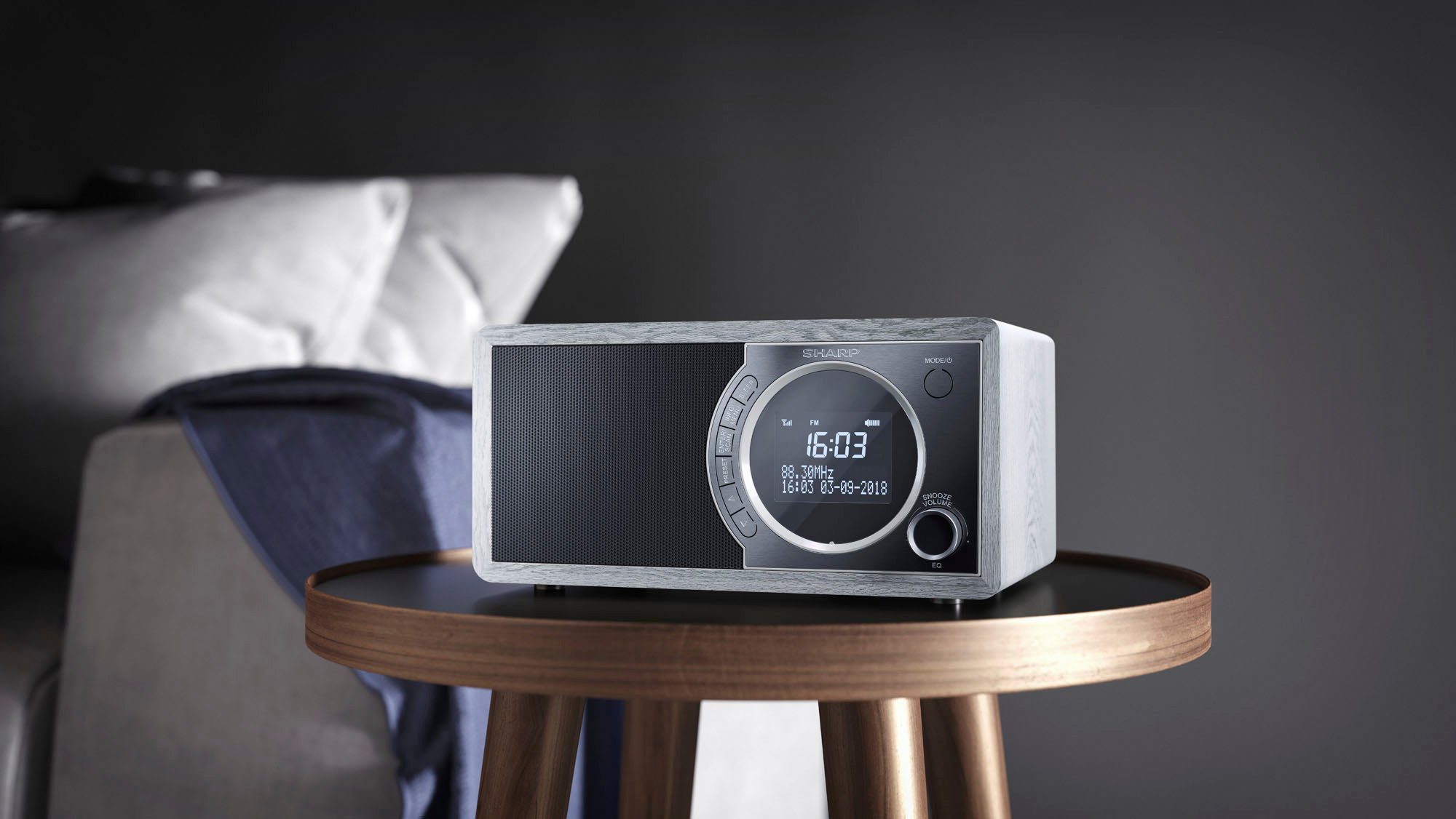 Sharp Digitale radio DAB DR-450