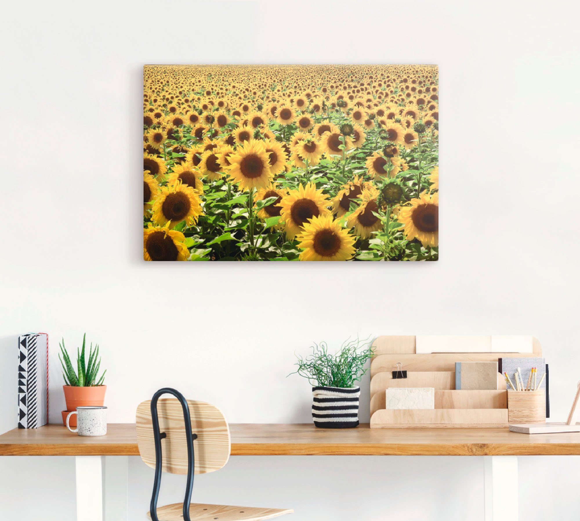 Artland Artprint Zonnebloemveld als artprint van aluminium, artprint voor buiten, artprint op linnen, poster in verschillende maten. maten