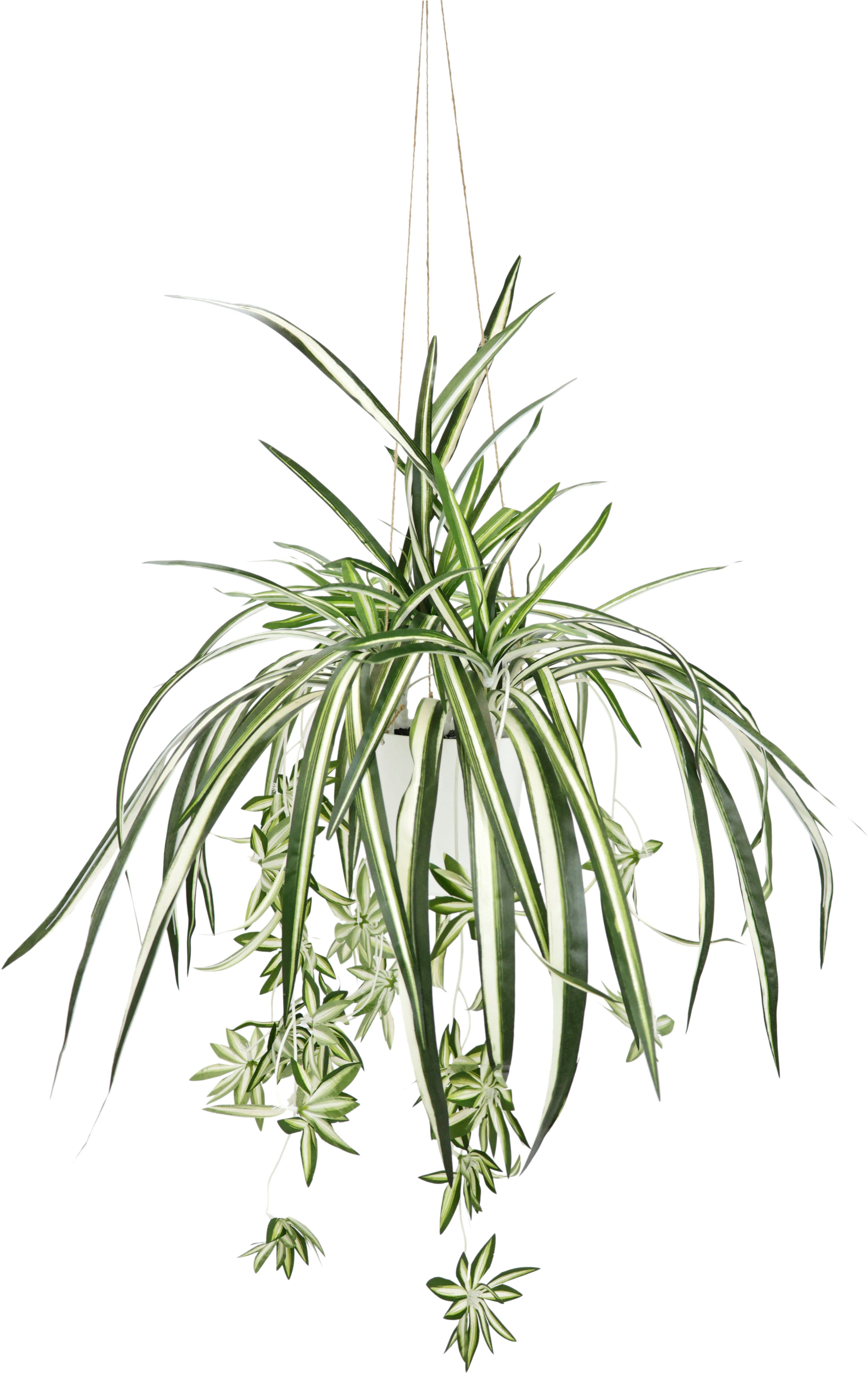 my home Kunstplant Groen/lelie Met plantenhanger, kunstmatige waterlelie (1 stuk) kunstplanten groen