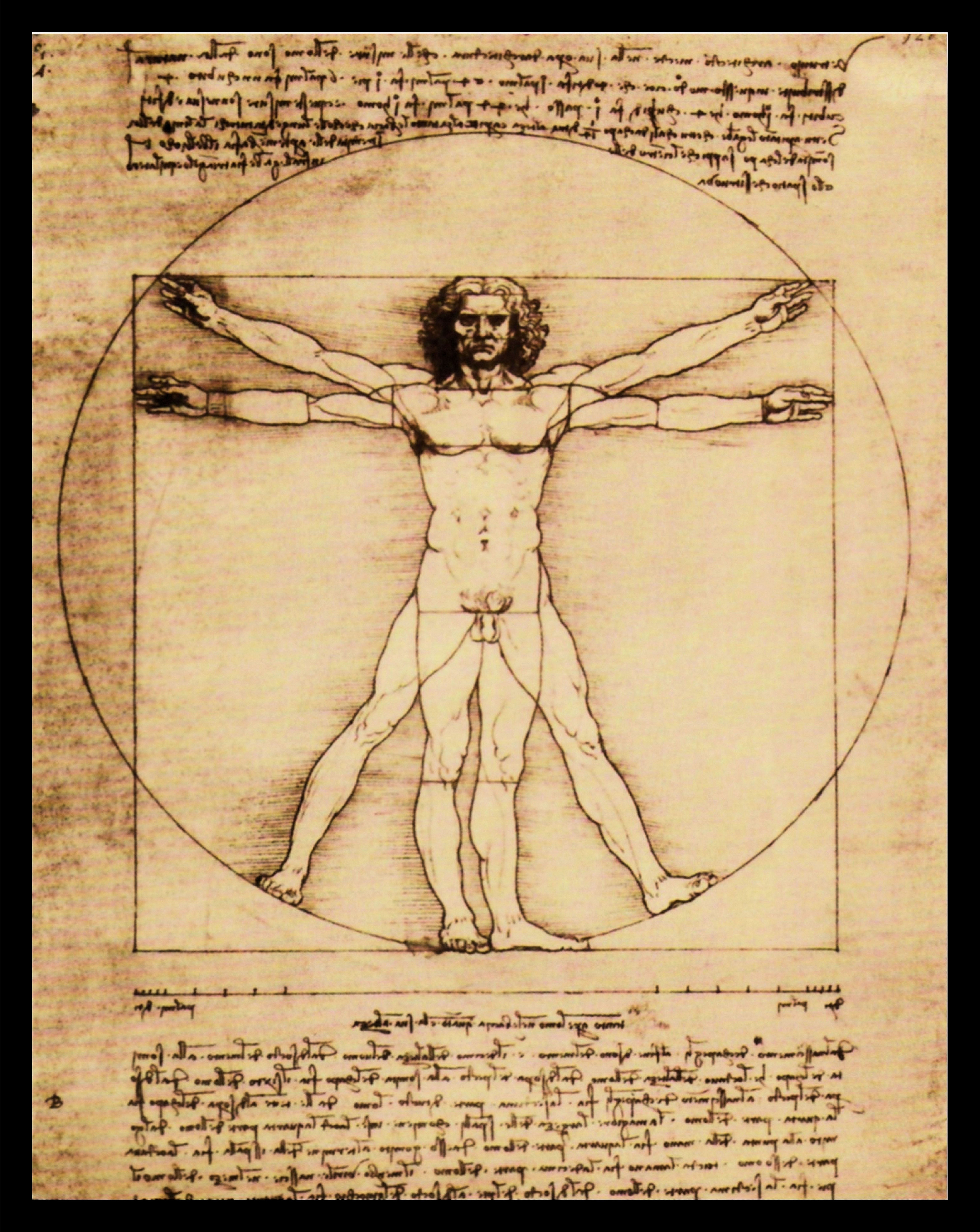 my home Artprint met lijst L.Da Vinci / Schema della Proporzioni (1 stuk)