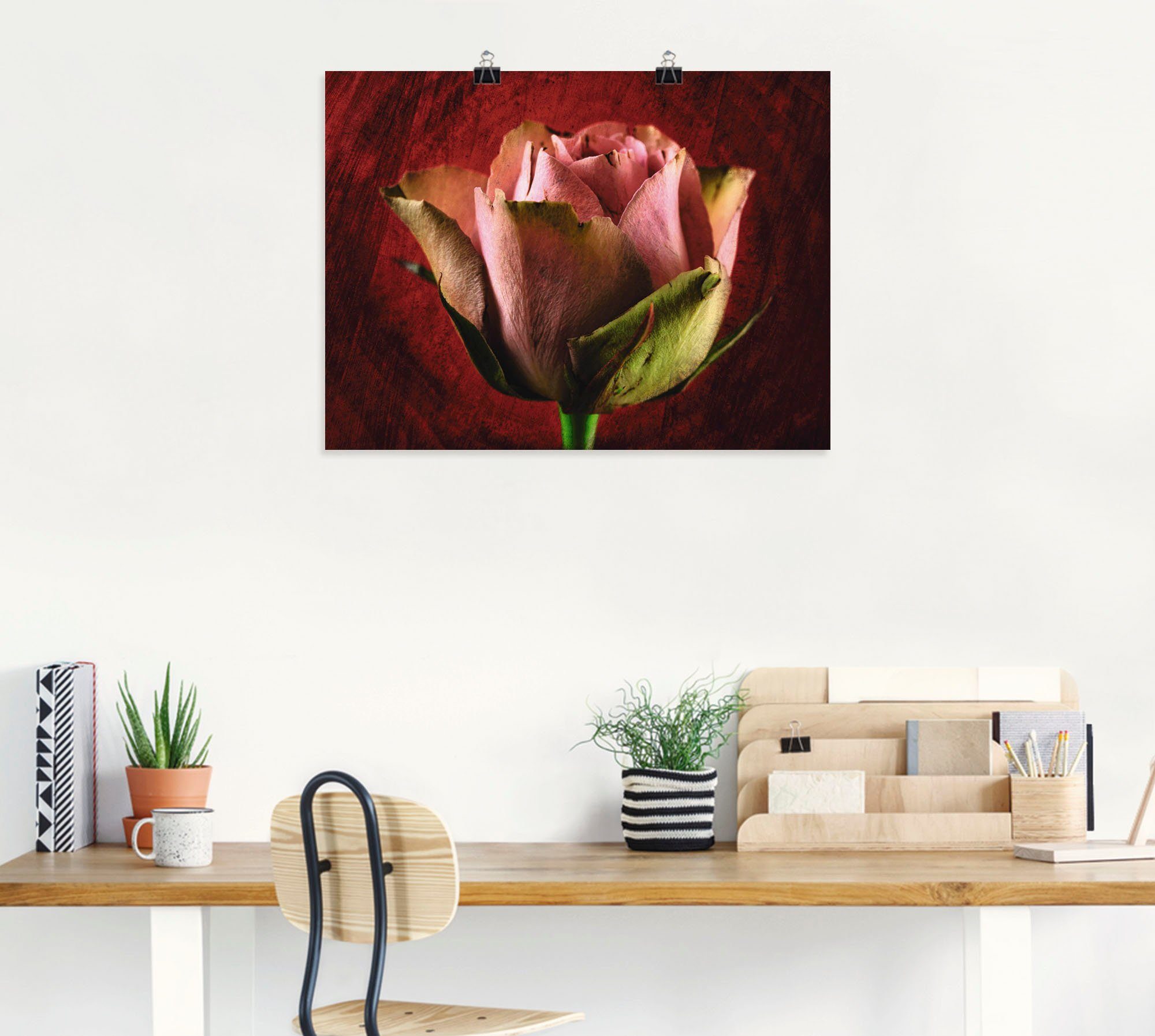 Artland Poster Roze roos als artprint op linnen, muursticker of poster in verschillende maten