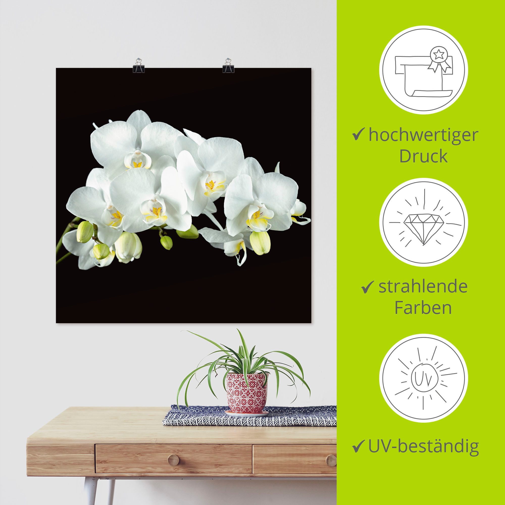 Artland Artprint Witte orchidee op een zwarte achtergrond als artprint op linnen, poster, muursticker in verschillende maten