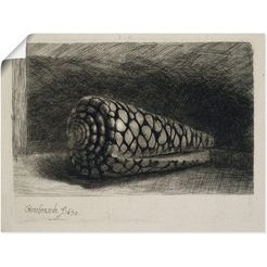 artland artprint de schelp. 1650 in vele afmetingen  productsoorten -artprint op linnen, poster, muursticker - wandfolie ook geschikt voor de badkamer (1 stuk) beige