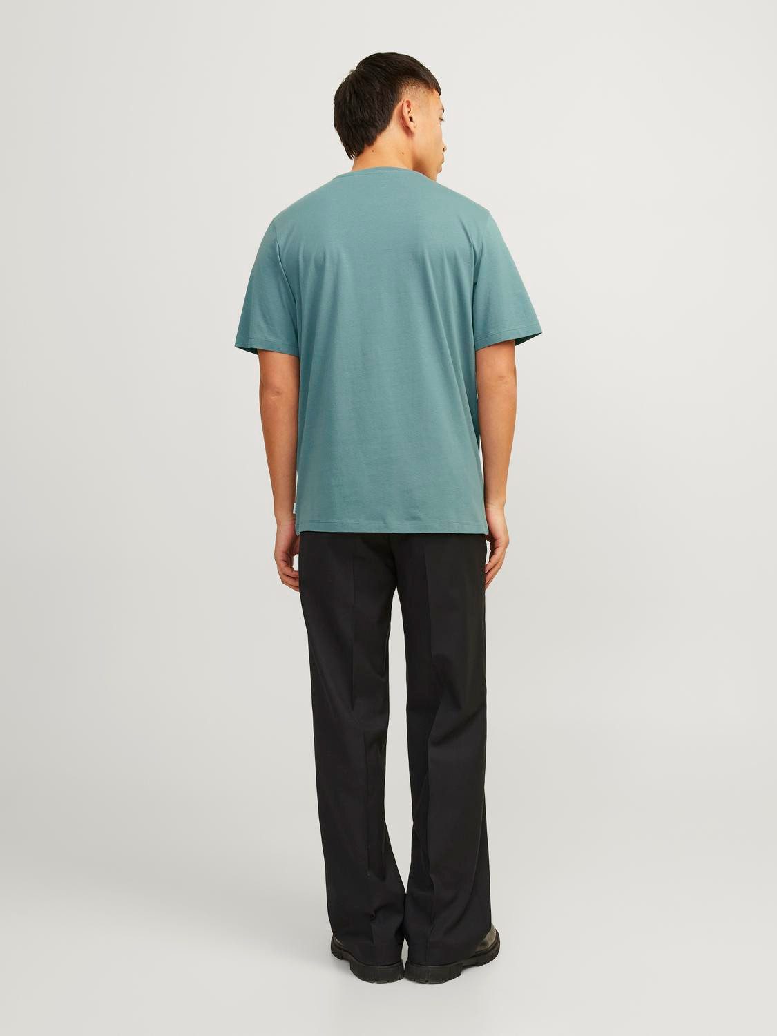 Jack & Jones Shirt met ronde hals JJEORGANIC BASIC TEE SS O-NECK NOOS
