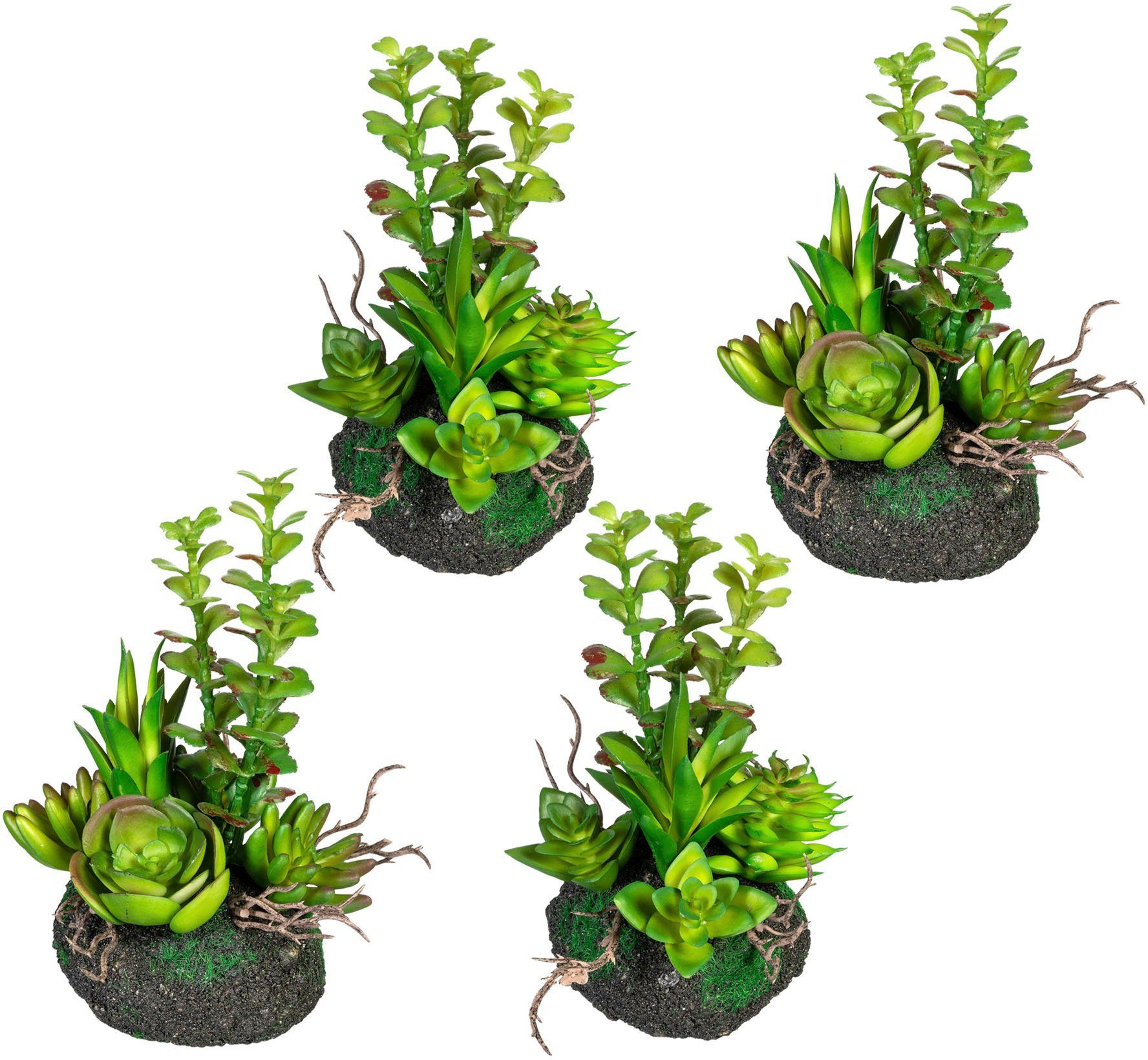 Creativ green Kunst-potplanten Vetplanten-arrangement set van 4